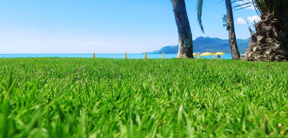 Hotel Eden Park Cilento Ispani 外观 照片